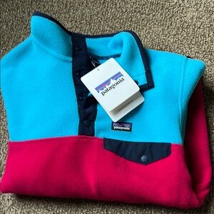 Patagonia Blue and Red Fleece Pullover